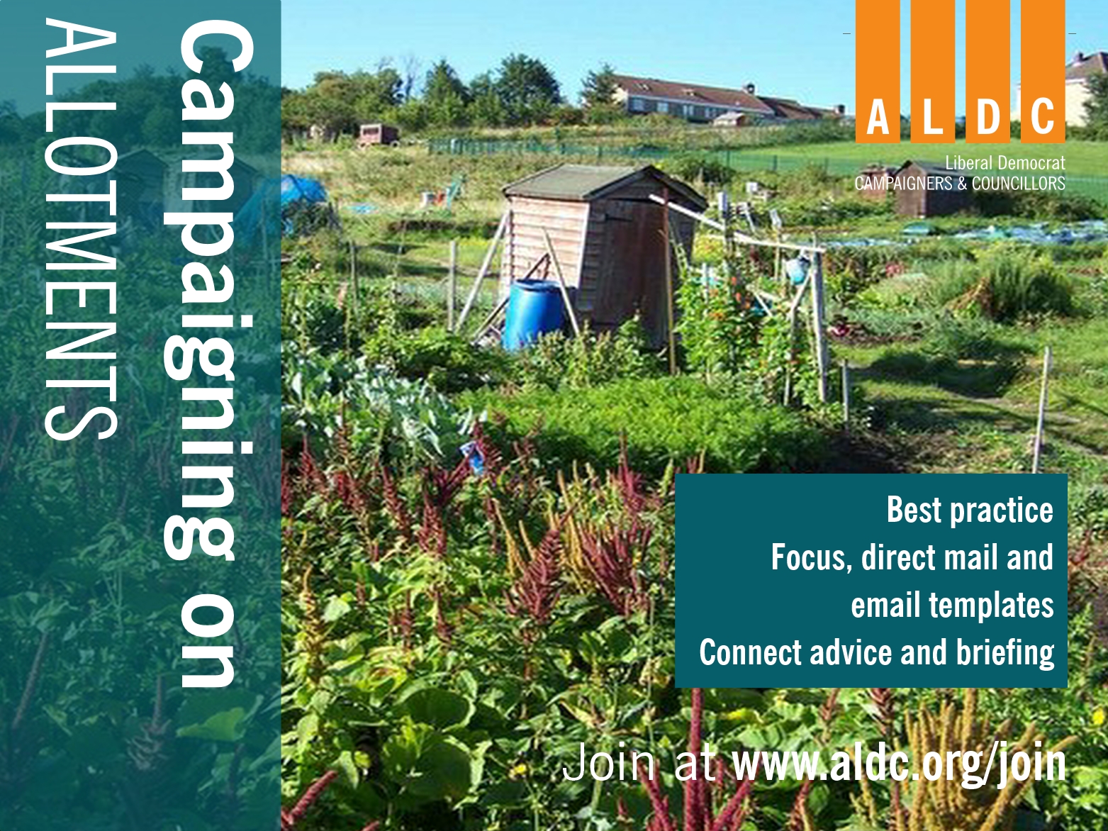 Campaigning on Allotments