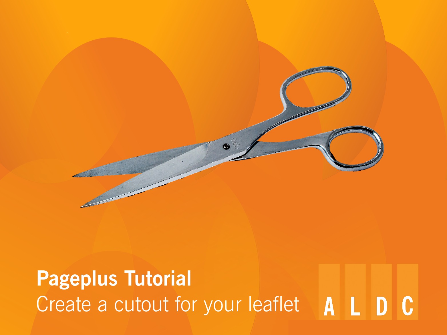 TRAINING: PagePlus video tutorial creating a cut-out for your leaflets