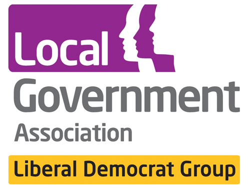 Council Motion and press release on Special Educational Needs from Surrey Lib Dem Group