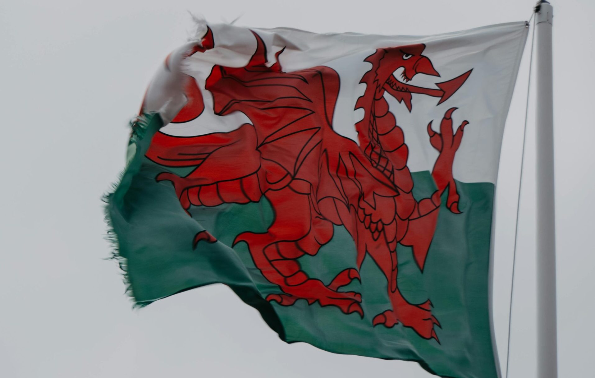 Welsh Webinar – Holding Your Opposition to Account – 4 March 2025