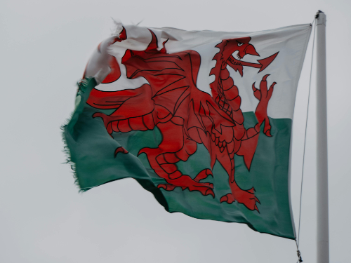 Welsh Webinar – Approvals & Selection Training – 22 April 2025